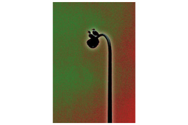 街灯にとまるかもめ